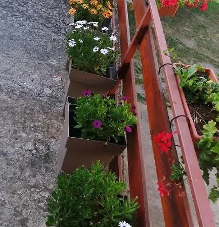 Apartmani Ilic Golubac Exterior photo