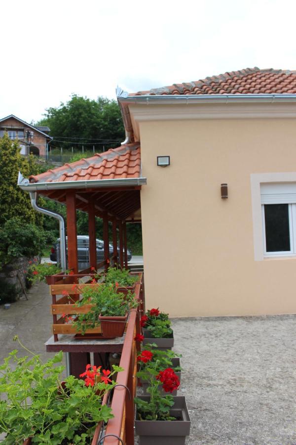 Apartment Ilic Golubac