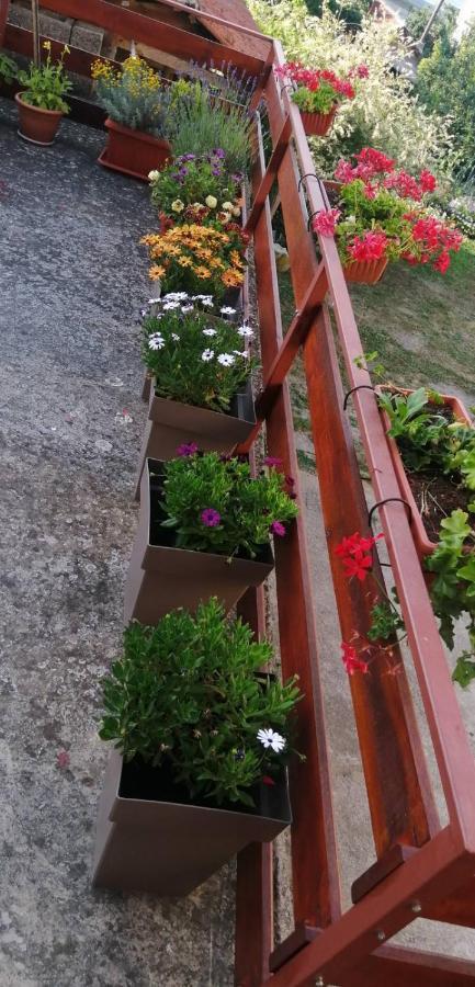 Ilic Apartment Golubac