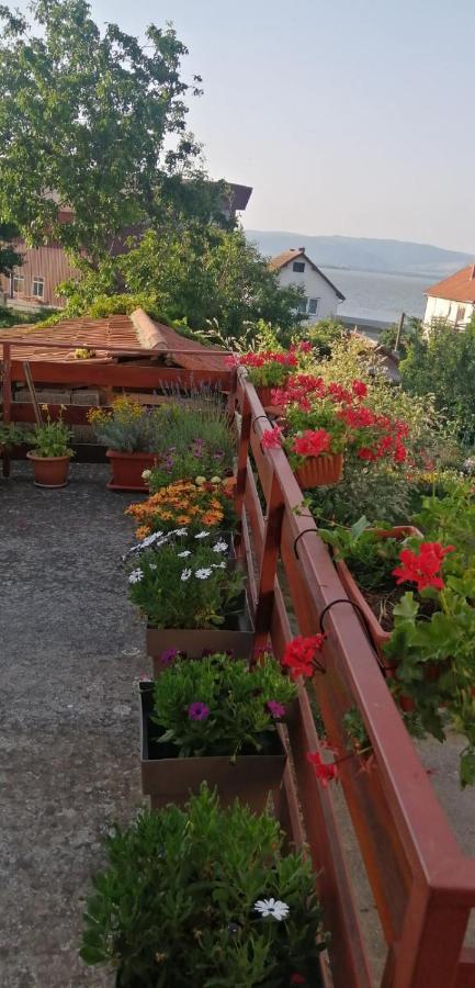 Apartment Ilic *
